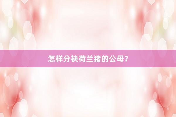 怎样分袂荷兰猪的公母？